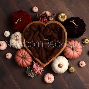 FALL NEWBORN DIGITAL Backdrop, Fall Newborn Digital Background, Autumn Newborn Digital Backdrop, Newborn Prop, Newborn Photography Props