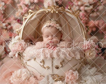 Fairytale Carriage Backdrop, Princess Newborn Background, Digital background, Girl newborn background, floral newborn backdrop, Fantasy