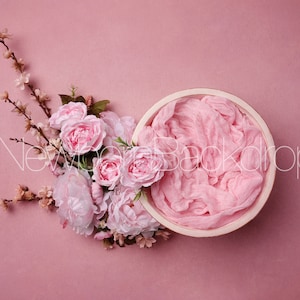 PINK Newborn Digital Background Girl, Newborn Digital Backdrop, Newborn Photography Prop, digital composite, pink newborn digital background