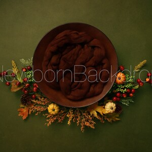 Newborn Digital Backdrop, Fall Newborn Digital Background, Autumn Newborn Digital Backdrop, Newborn Prop, Newborn Photography Props