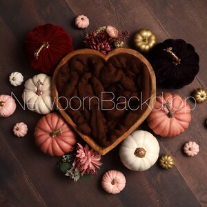 Newborn Digital Background, Pumpkin Newborn Digital Backdrop, Fall Newborn Digital Backdrop, Newborn Photography Props, Fall Newborn Props