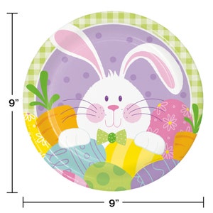 May include: A 9-inch round paper plate with a purple background and a white bunny rabbit with pink ears and a green bow tie. The bunny is surrounded by colorful Easter eggs and carrots.