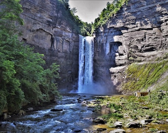 Peut inclure: Une haute cascade se déverse le long d'une falaise rocheuse stratifiée dans un ruisseau peu profond et rocailleux. Des arbres verts luxuriants poussent sur les côtés de la gorge, tandis que l'eau crée une brume à la base de la chute.