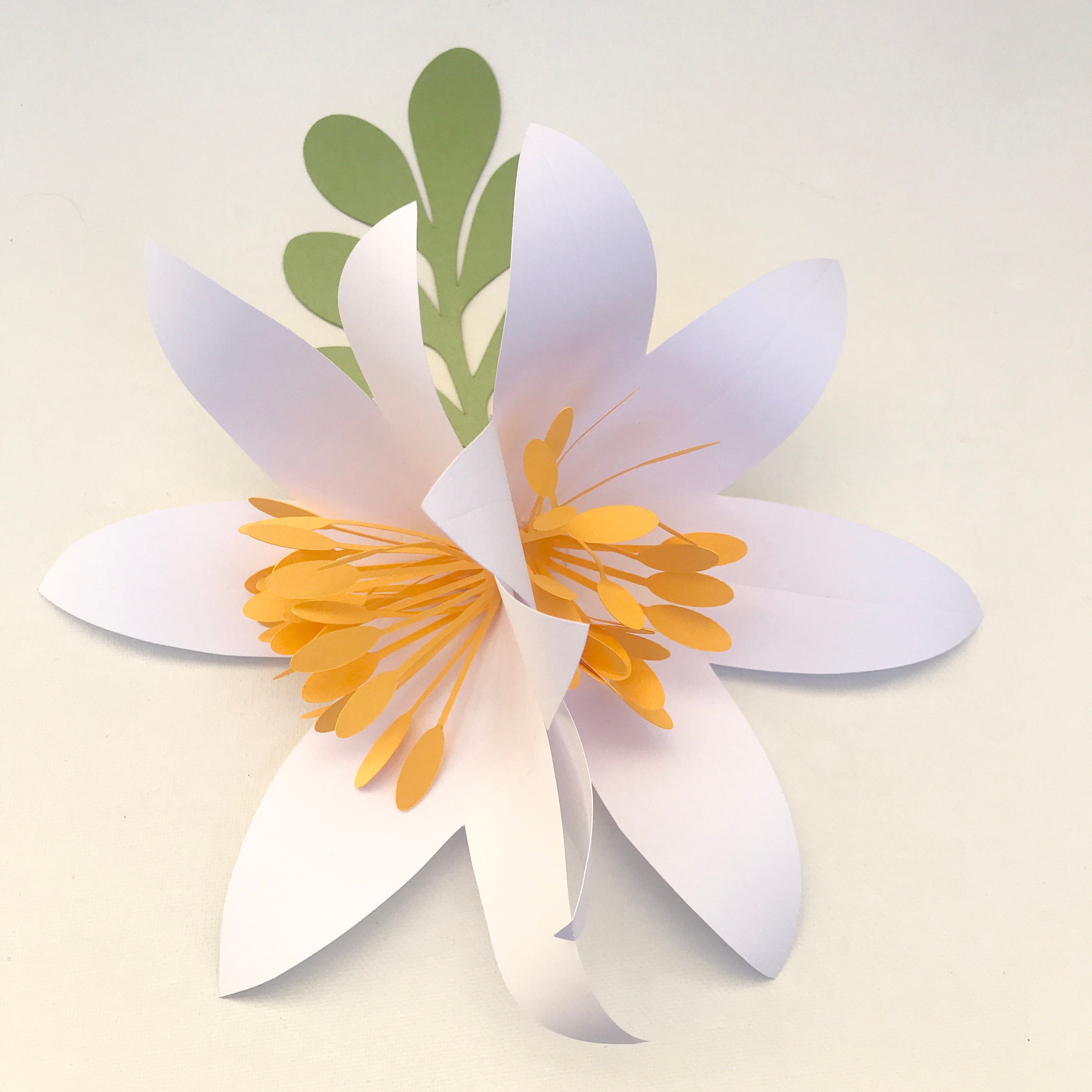 Lily Paper Flower DIY Paper Flowers Bunch of Lily PDF SVG Paper Flowers Lily Paper Flower Paper
