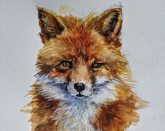 Red Fox- Rebecca Pearl signed giclee from original watercolor