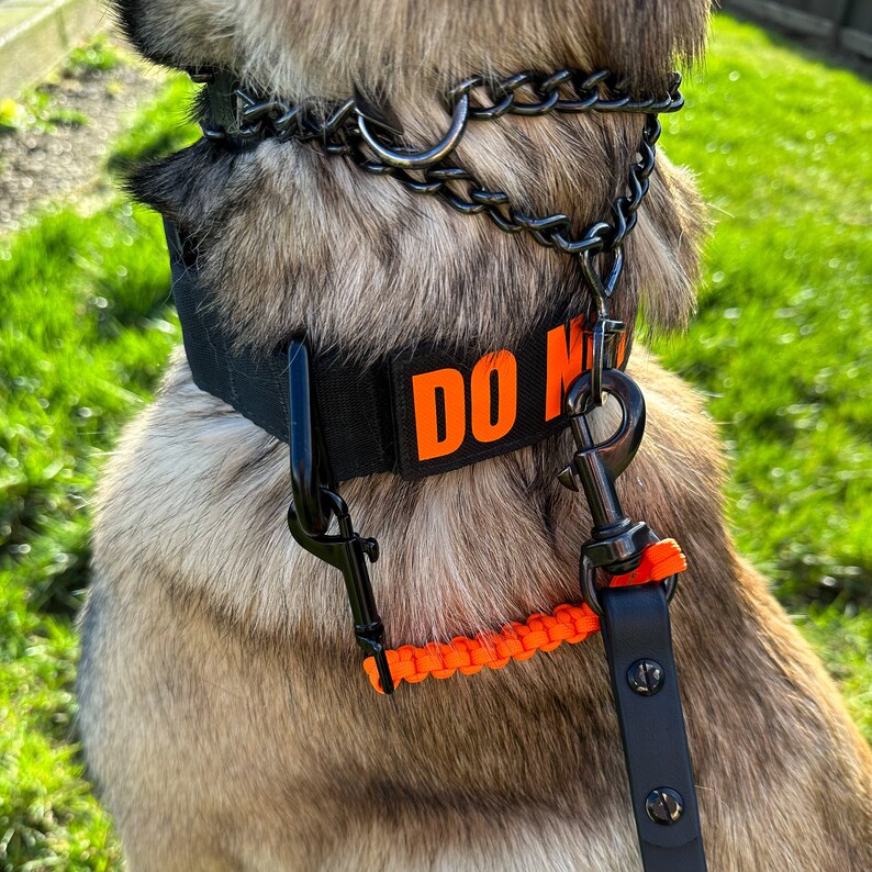 Prong Collar Safety Clip Prong Collar Backup Strap Prong Collar Safety