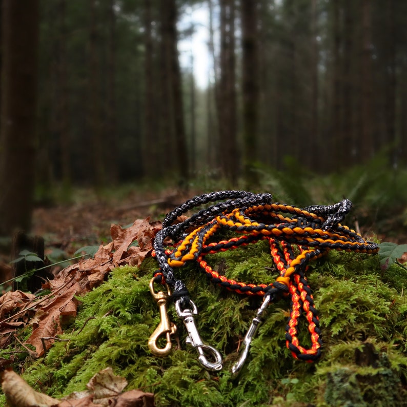 Paracord Dog Leash Round Braid Training Leash Etsy