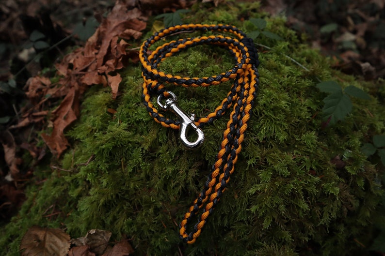 Paracord Dog Leash Round Braid Training Leash Etsy