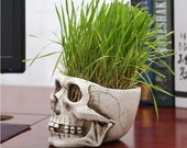 High Quality Resin Skull Flowerpot Grass Head Statues Green Plant Flower Pot Desk Decor Toy Home Halloween Party Decoration