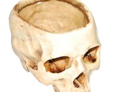 Creative Handmade Resin Skull Flowerpot Skeleton Antique Ornaments Home Decoration Halloween Supplies Accessories Home Garden Decor