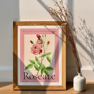 vintage botanical art print rests against living room wall bathed in sunlight