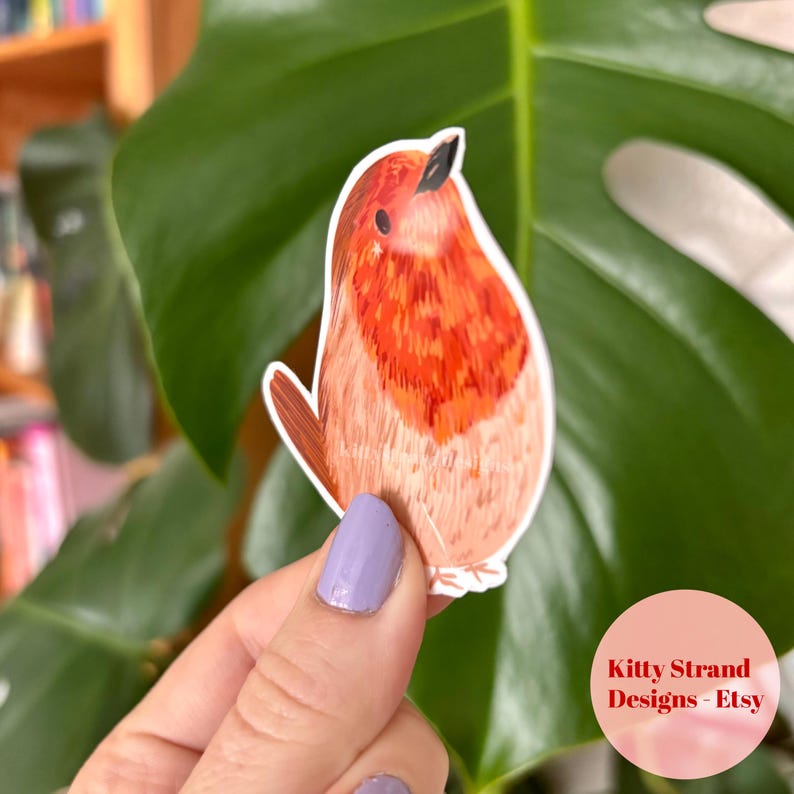 Pink Robin Sticker Robin Sticker: Laminated Vinyl Decal - Weatherproof Bird Art - Etsy