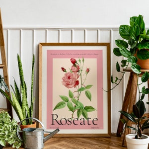 house plants surround a large vintage botanical poster in pink and cream. Poster features a large watercolour rose and vintage lettering reads Roseate at the bottom of the print