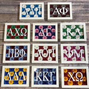 May include: Nine framed floral art pieces with Greek letters. Each white-framed piece features a different combination of Greek letters in white, set against a backdrop of colorful paper roses in various hues, including blue, red, and pink.