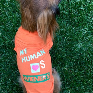 My human loves wieners