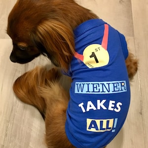 Wiener takes all image 1