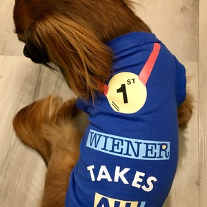 Wiener takes all image 3