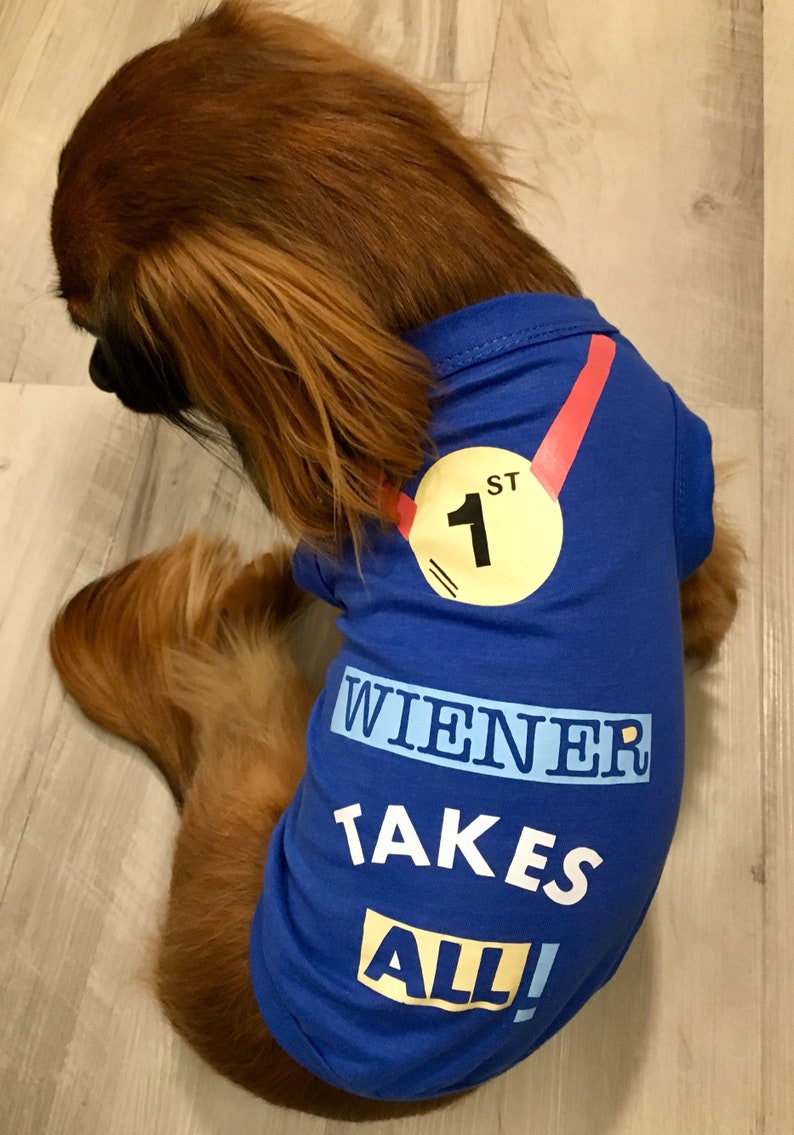 Wiener takes all image 3