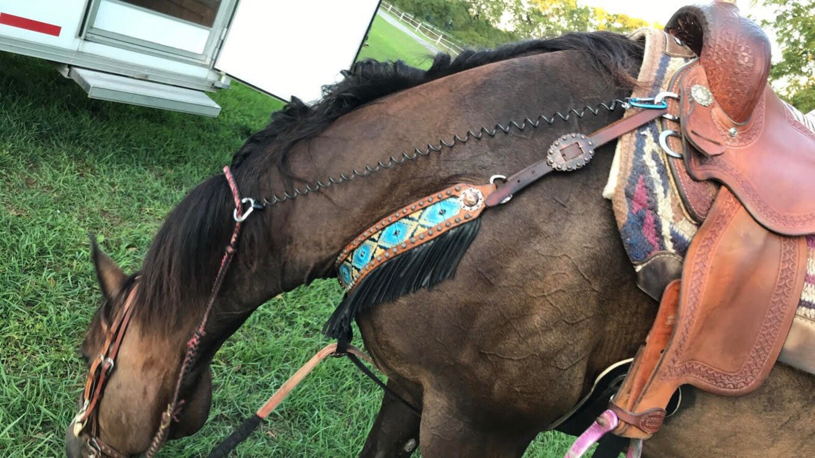 Rein keeper RAINBOW Etsy