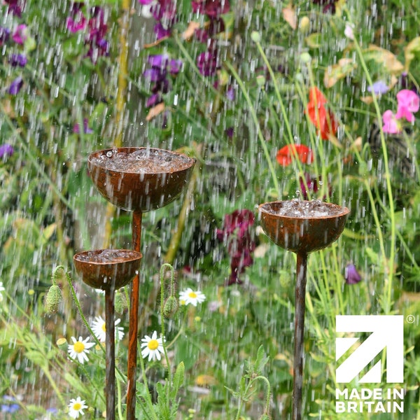 Rain Catcher  | Plant Support | Rusts with Rain.