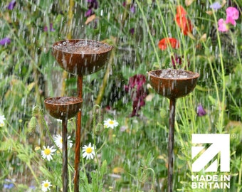 Rain Catcher  | Plant Support | Rusts with Rain.