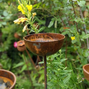 May include: A rusty metal bird bath with a rounded bowl sits on a tall metal stake. The bird bath is surrounded by green plants and a single yellow flower.