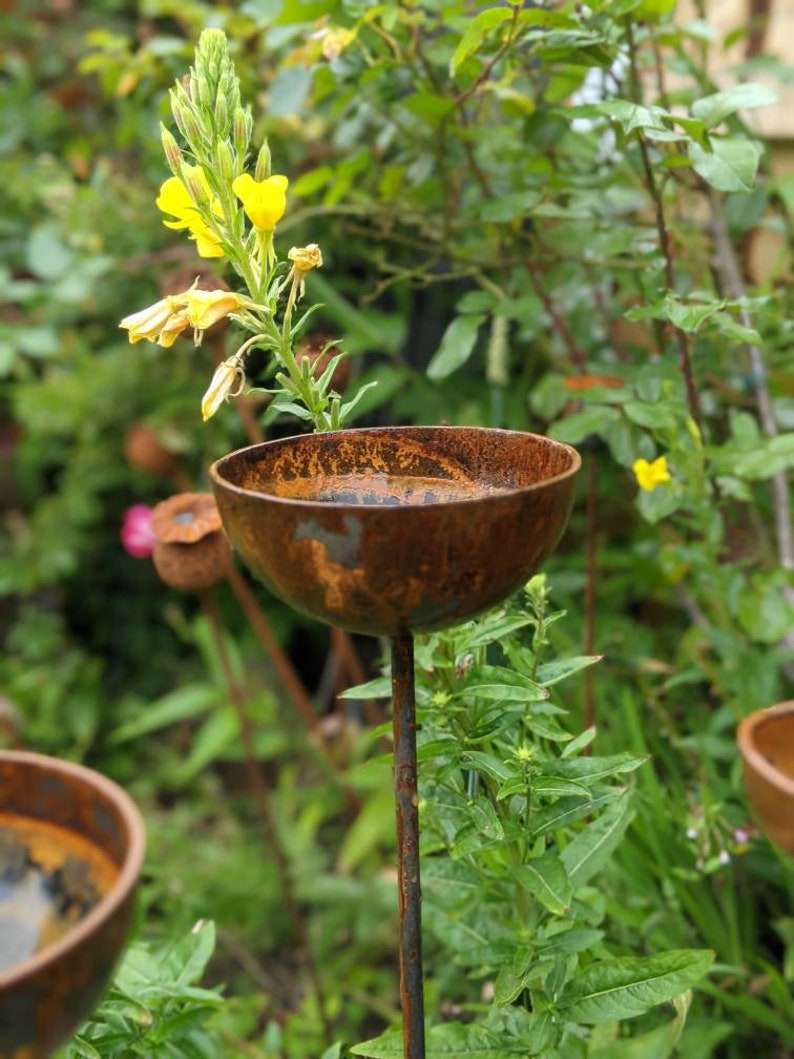May include: A rusty metal bird bath with a rounded bowl sits on a tall metal stake. The bird bath is surrounded by green plants and a single yellow flower.