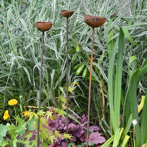 May include: Three rusty metal garden stakes with a bowl-shaped top. The stakes are placed in a garden setting with green and white striped grass and purple foliage.