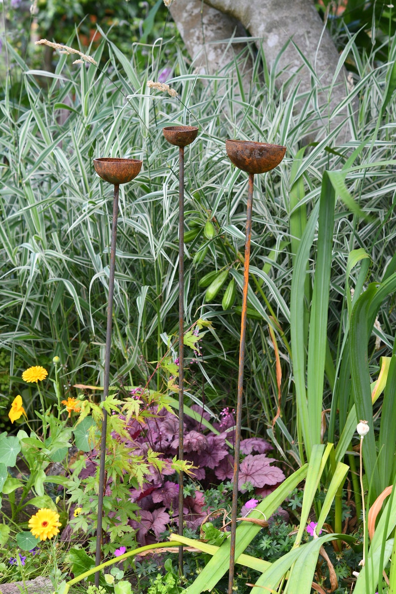 May include: Three rusty metal garden stakes with a bowl-shaped top. The stakes are placed in a garden setting with green and white striped grass and purple foliage.