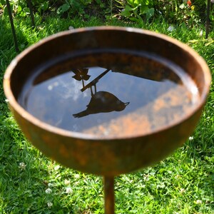 May include: A rusty brown metal bird bath with a bird silhouette reflected in the water. The bird bath is on a metal stand and surrounded by green grass.