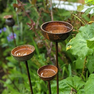 May include: Three rusty metal bird baths on tall metal stems, set in a garden with green foliage. The bird baths are filled with water.