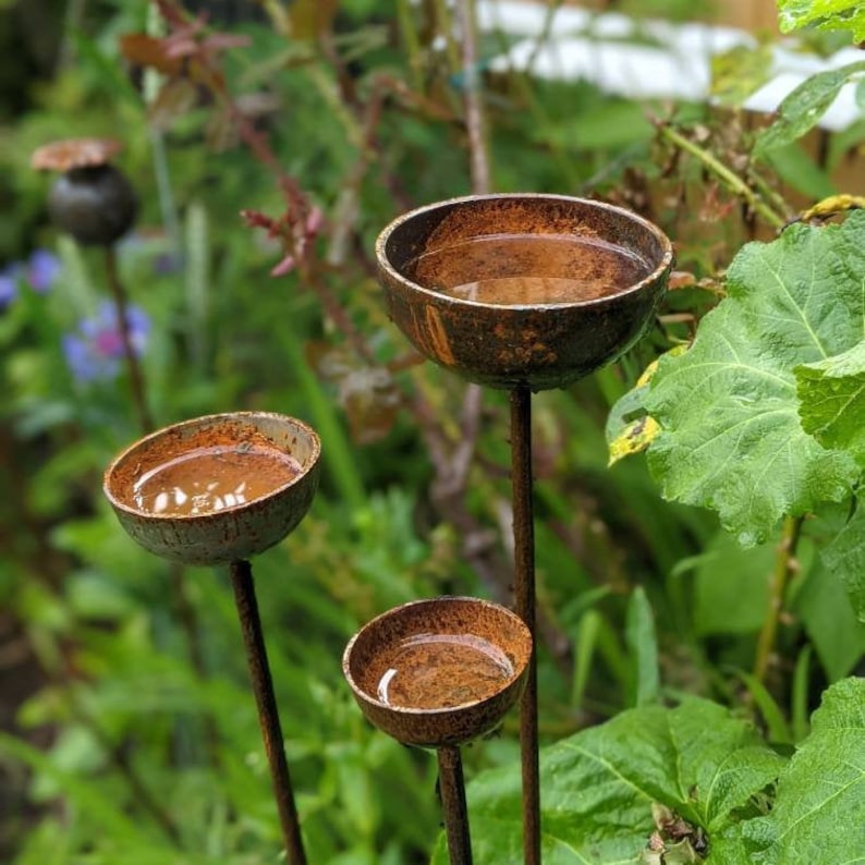May include: Three rusty metal bird baths on tall metal stems, set in a garden with green foliage. The bird baths are filled with water.