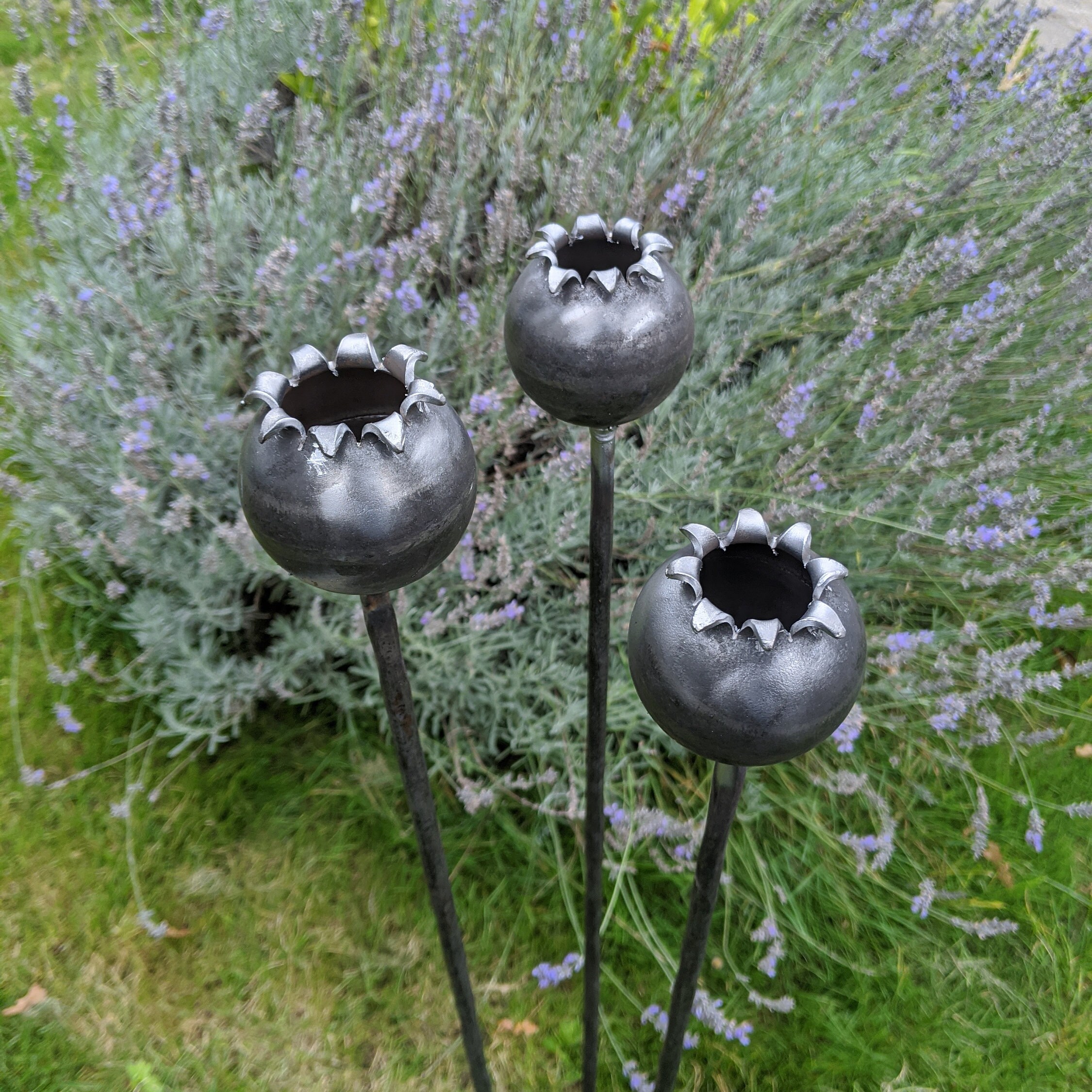 Metal Poppy Seedhead Garden Sculpture Rusts with Rain. Etsy