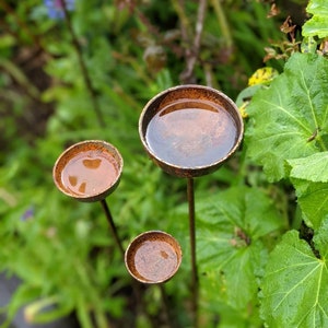 May include: Three rustic metal bird baths with water in them, mounted on tall metal stems. The bird baths are brown and rusty, and the stems are black. The bird baths are in a garden setting with green foliage.