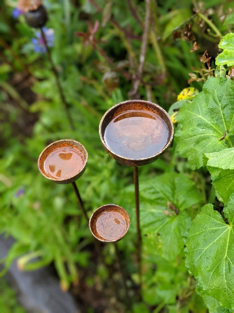 May include: Three rustic metal bird baths with water in them, mounted on tall metal stems. The bird baths are brown and rusty, and the stems are black. The bird baths are in a garden setting with green foliage.