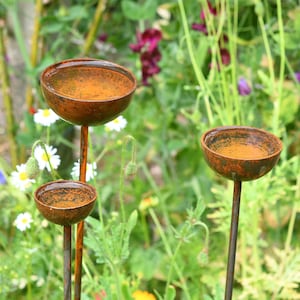 May include: Three rusty metal bird feeders with rounded bowls on tall metal stems. The feeders are in a garden setting with green foliage and flowers.