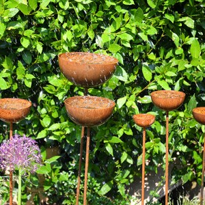 May include: A set of six rusty metal bowls on tall stems, arranged in a cascading design. The bowls are filled with water and are surrounded by green foliage.