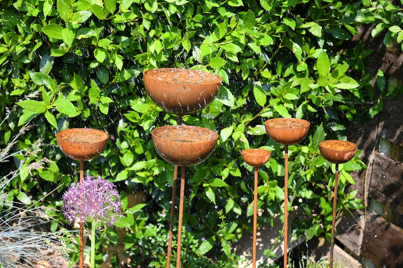 May include: A set of six rusty metal bowls on tall stems, arranged in a cascading design. The bowls are filled with water and are surrounded by green foliage.