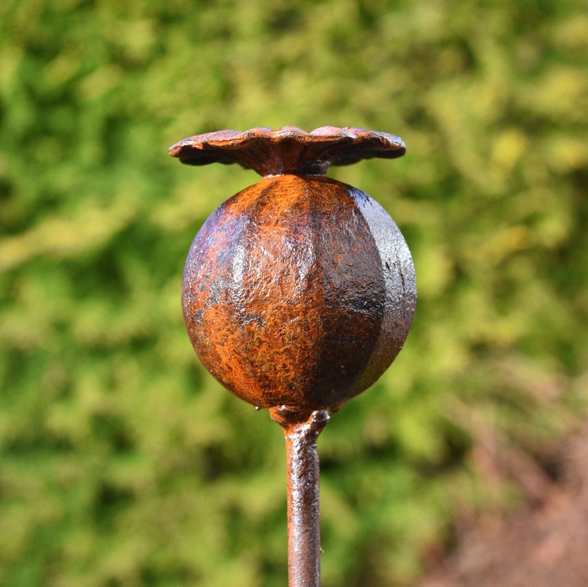 Metal Poppy Seedhead Sculpture Garden Ornament Rusty Metal. Etsy