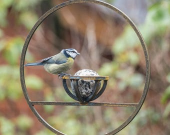 Rusty Metal Hanging Fat Ball Bird Feeder