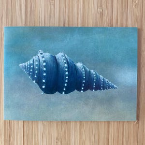Shell Birthday Card - Shell Card from Original Artwork - Original Shell Print Card - Cards from Artwork -