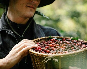 Java Supreme Gourmet Roast, Premium Coffee Blend Smooth & Rich Flavor, Artisan, Ideal Gift for Coffee Lovers
