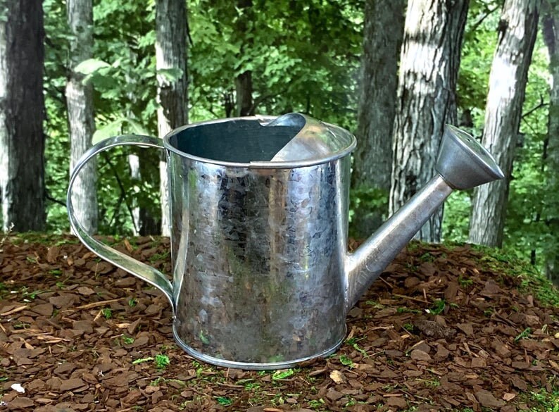 Galvanized Miniature Tin Watering Can 3.5 Tall Etsy