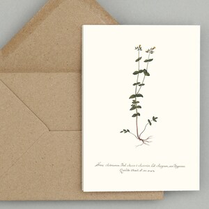 Carte de voeux florale : cartes de correspondance vierges avec enveloppes, coffret de cartes, papeterie botanique vintage du XIXe siècle