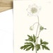 see more listings in the Greeting cards:  Flowers section