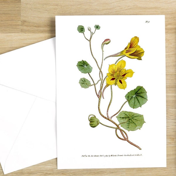 Botanical Flower Greeting Cards Set:  Tropæolum Minus or Small Tropæolus, or Indian-cress originally published in 1790 (bright white)
