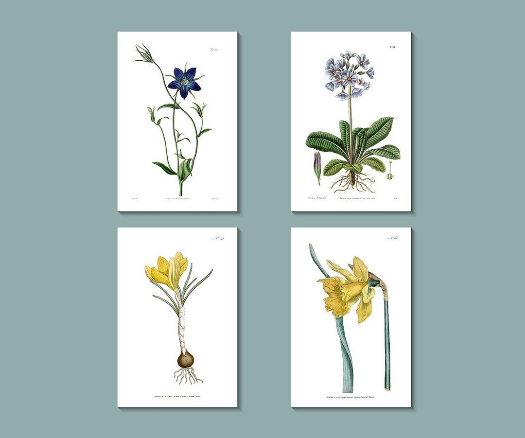 Botanical Greeting Cards Set: Vintage Floral Art - London 1790s-1850s ...