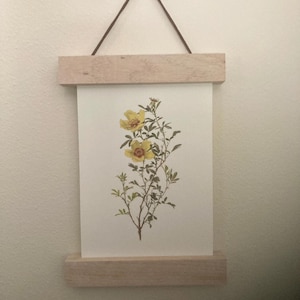 Picture Hanger Frame - Magnetic Wood