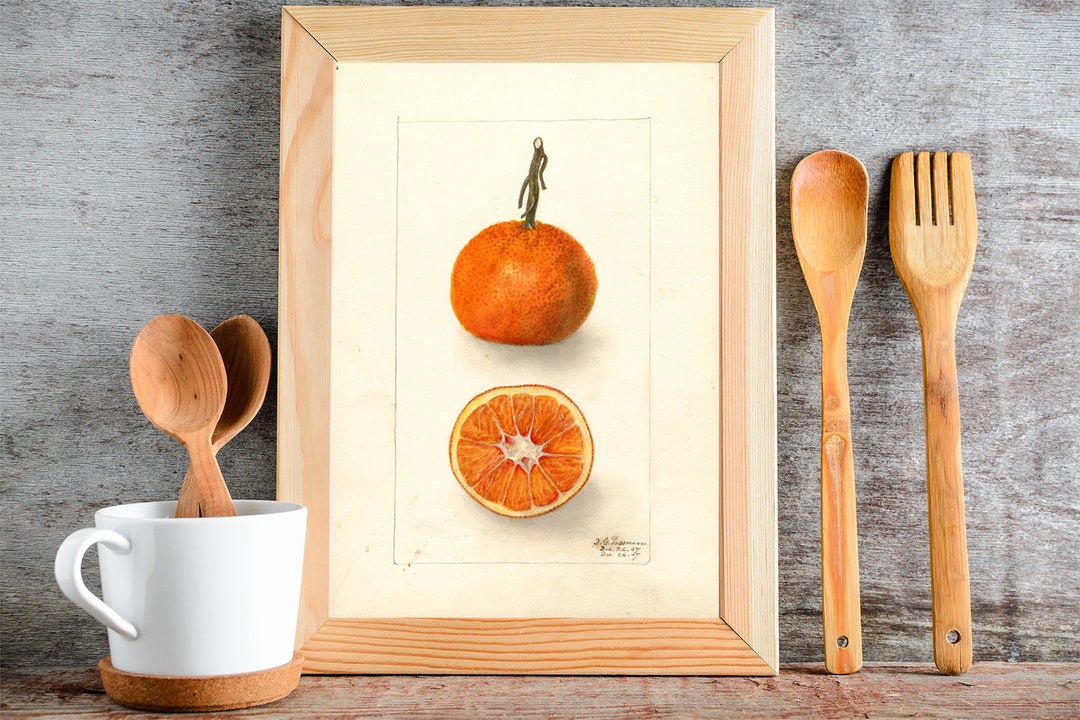Citrus Art Print Orange Fruit Wall Hanging Decor for Kitchen