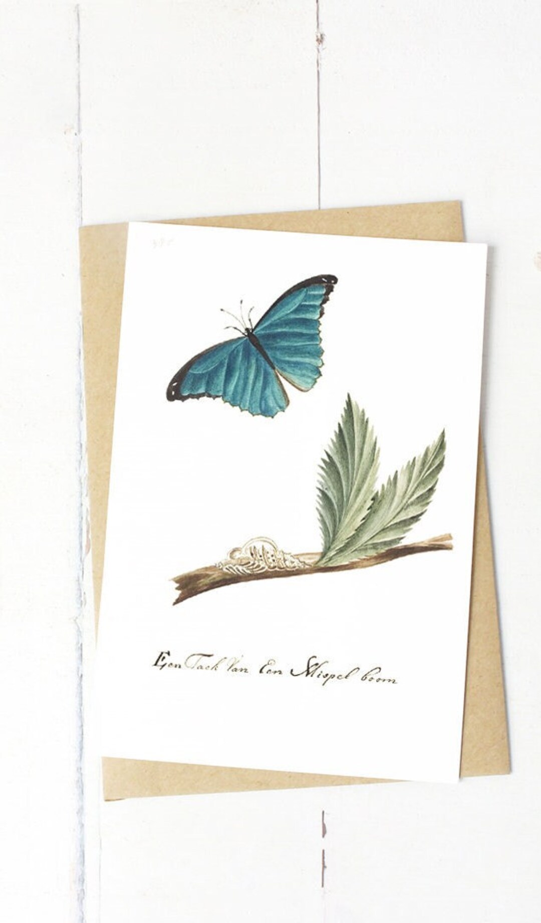 Butterfly Greeting Cards Set With Envelopes. Originally Published in ...